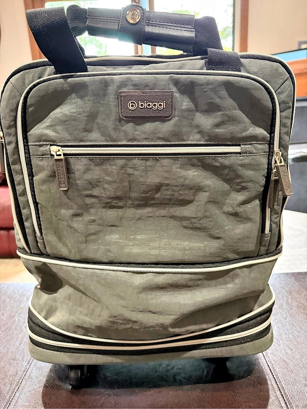 biaggi Zipsak Boost Underseater to Carry-On Travel Bag Green